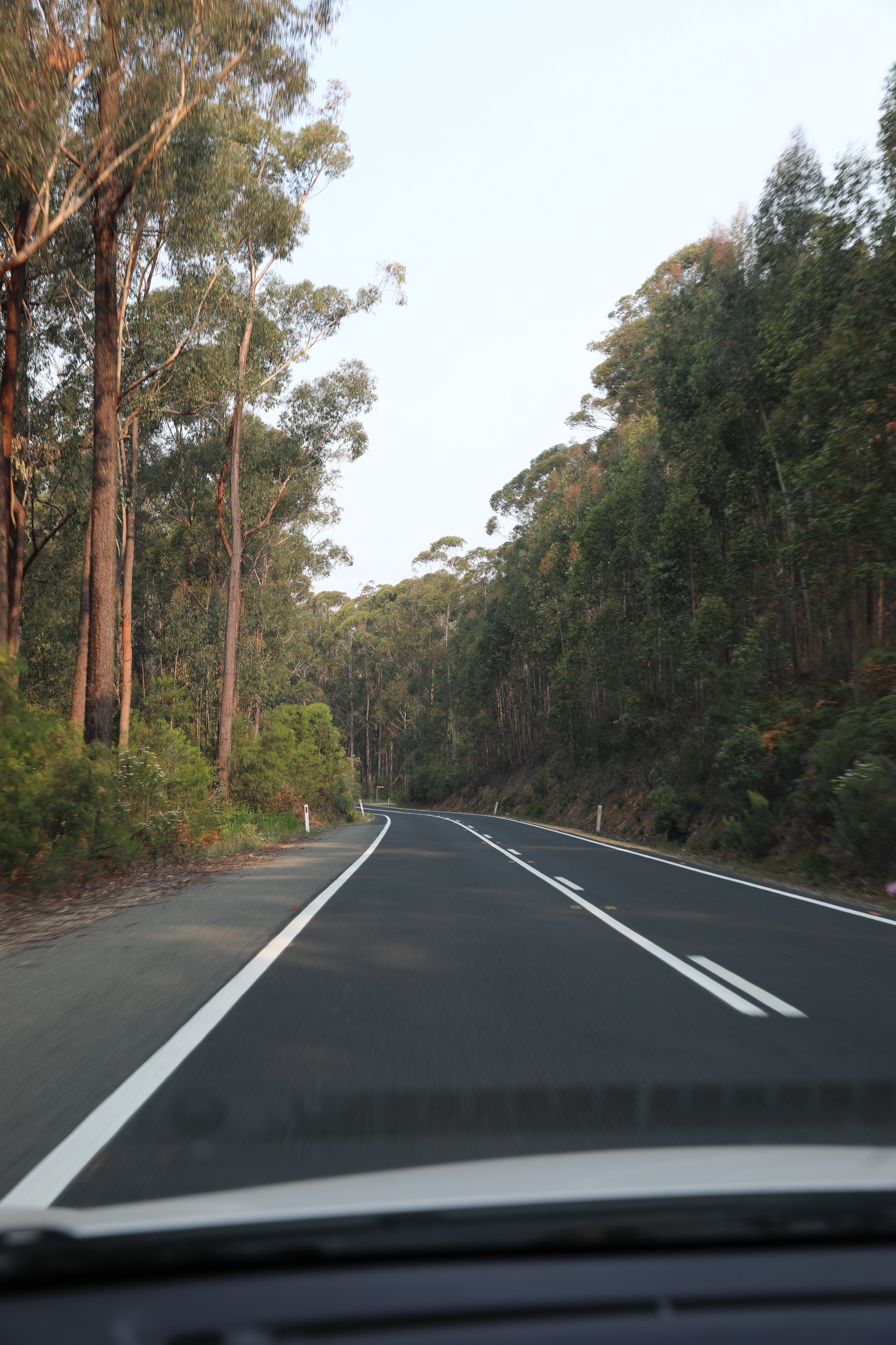 2019 12 26 17 39 01 Canon EOS 5D Mark IV 0008